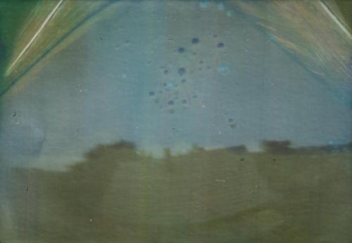 131893304_207606050853572_2144074551437448843_n